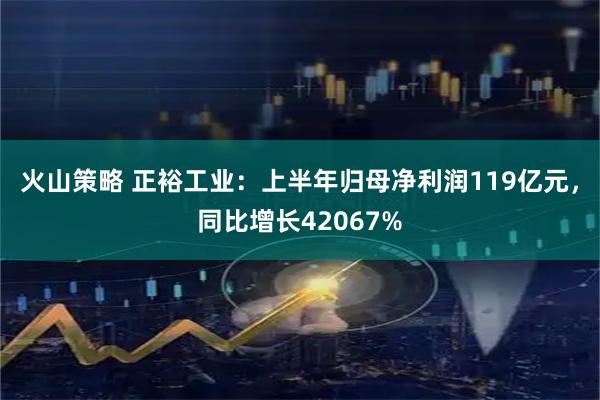 火山策略 正裕工业：上半年归母净利润119亿元，同比增长42067%