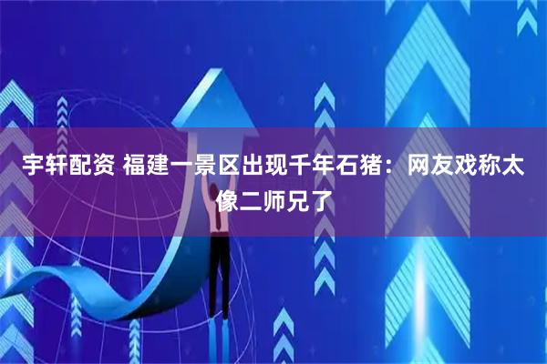 宇轩配资 福建一景区出现千年石猪：网友戏称太像二师兄了