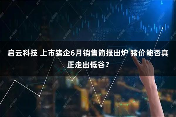 启云科技 上市猪企6月销售简报出炉 猪价能否真正走出低谷?