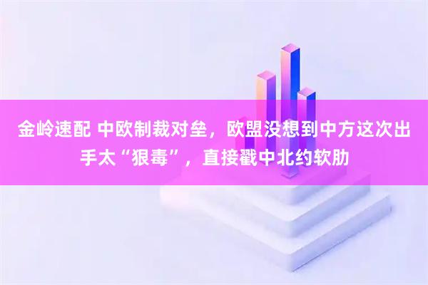 金岭速配 中欧制裁对垒，欧盟没想到中方这次出手太“狠毒”，直接戳中北约软肋